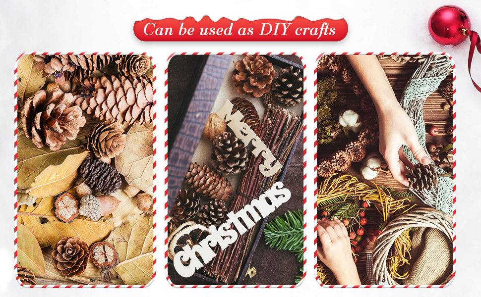 Pine Cones