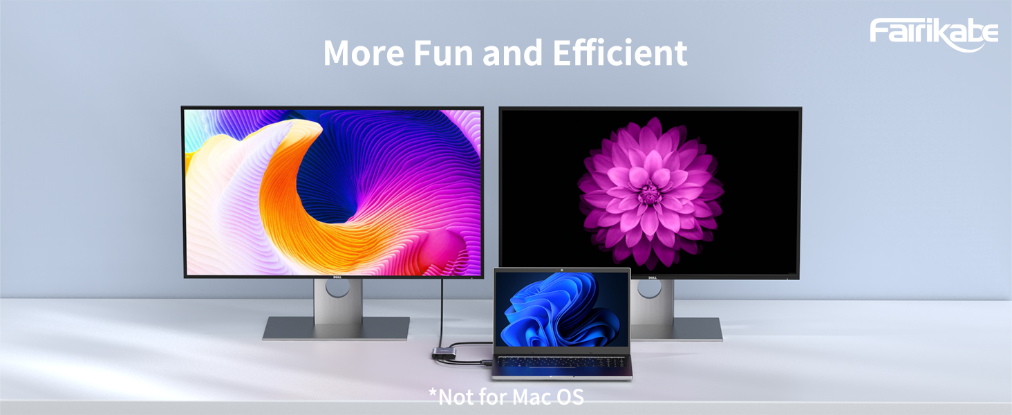 displayport to dual hdmi adapter