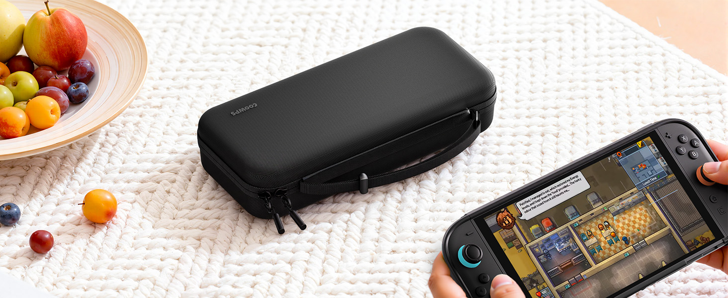 switch 2 carry case