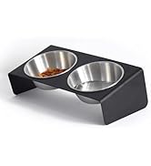 Elevated Cat Food Bowl Raised