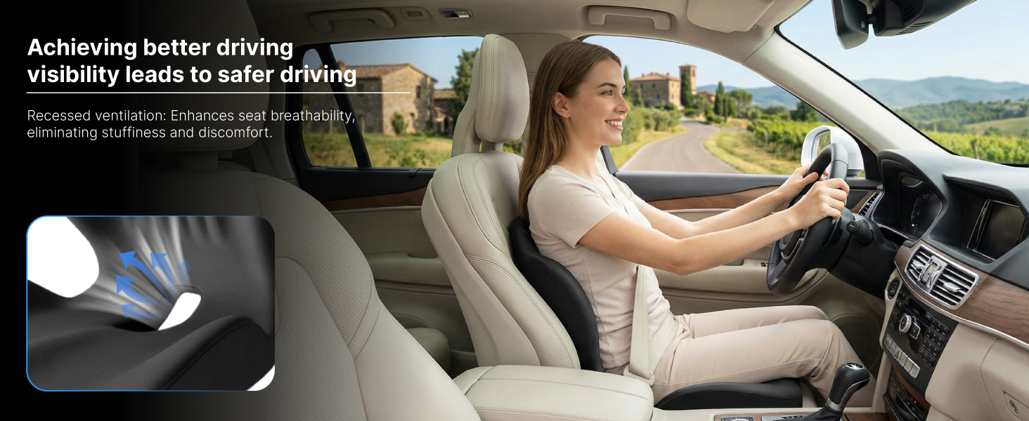 seat cushion with lumbar support