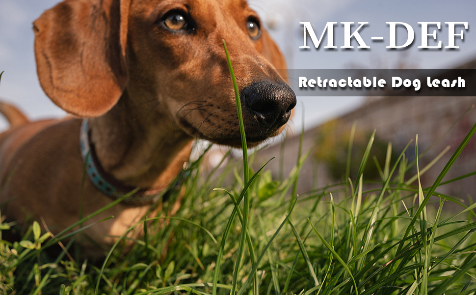 MK-DEF