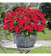 Besteek 6 Pcs Artificial Flowers for Outdoors Fake Silk Periwinkle Flowers Faux Plants UV Resista...