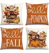 RABUSOFA Fall Pillow Covers 18x18 Set of 4,Highland Cow Autumn Decorations for Home,Outdoor Thank...