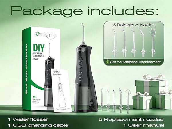 portable water flosser