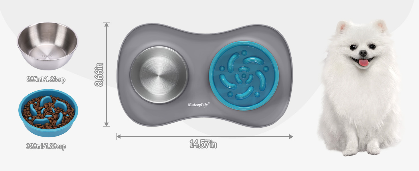 dog food bowl