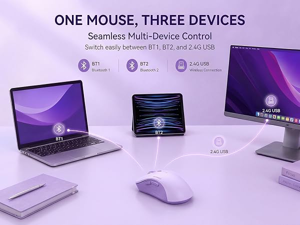 R09 mouse
