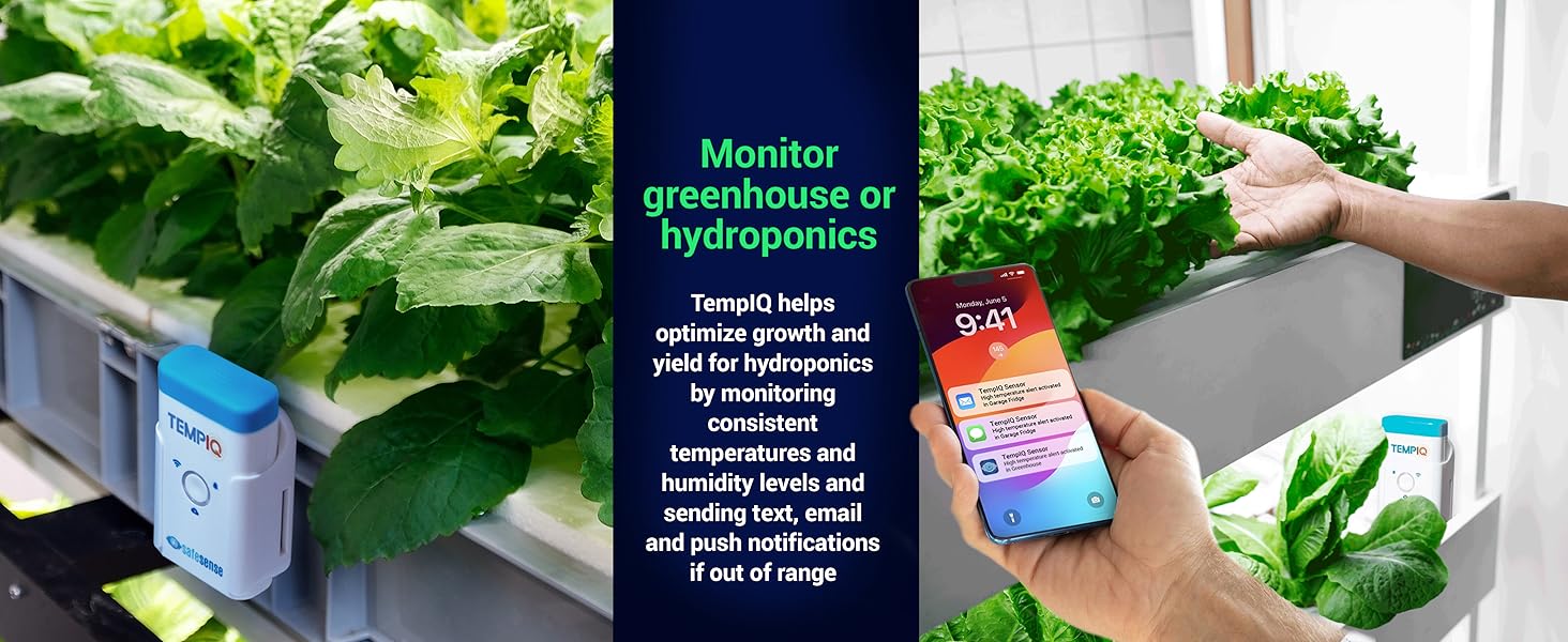 TempIQ Remote Wi-Fi Temperature and Humidity Sensor by SafeSense