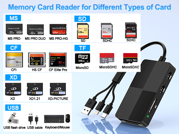Multi Card Reader