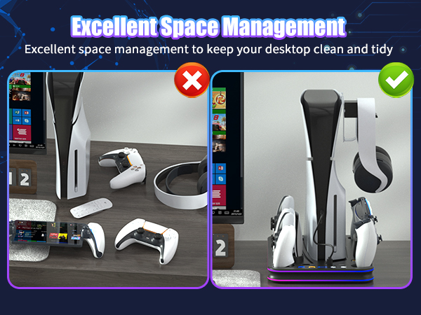PS5 Organizer