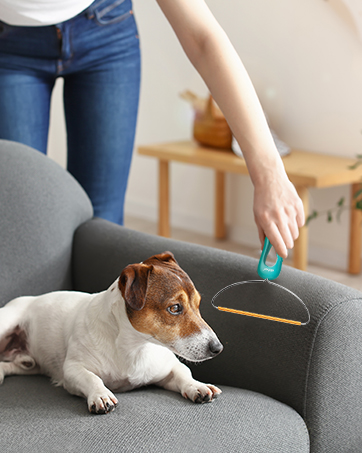 airbee pet hair remover