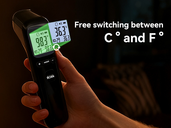 portable thermometer