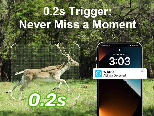 0.2s Trigger: Never Miss a Moment