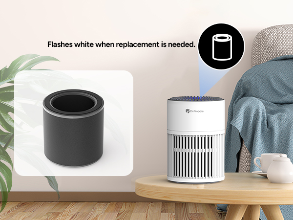 air purifier for home