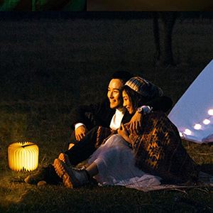 portable book light
