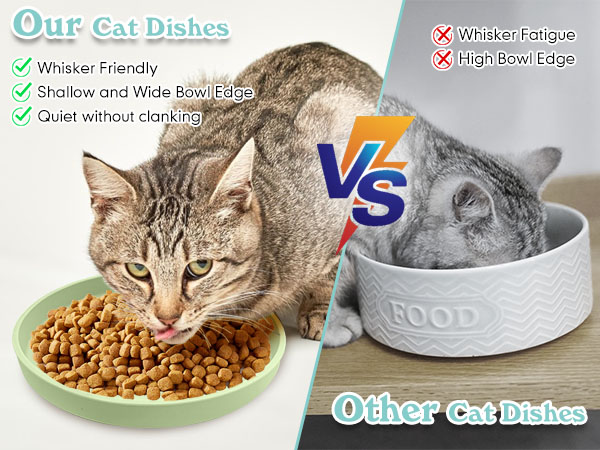 pet food bowls for cats small pet bowl cat dishes for food cat food and water bowls