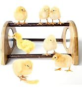 Ensayeer Mini Chick Perch with Mirror, Natural Willow Wood Roosting Bar for Coop&Brooder, Anti-Sl...