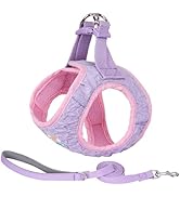 AIITLE Step-in Dog Harness and Leash Set for Walking, No Pull Dog Vest Harness, Cute Seersucker, ...
