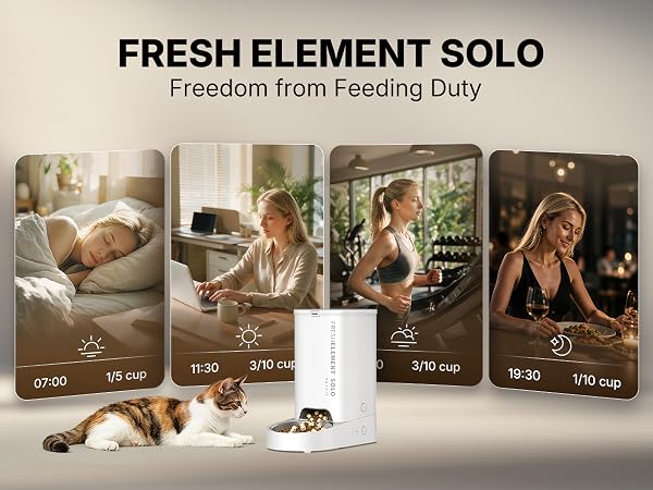 Text reads "FRESH ELEMENT SOLO" and "Freedom from Feeding Duty". Product packaging display with four illustrated cards showing different times (07:00, 10:15, 15:30, 19:45) alongside fresh product containers and food items on neutral background.