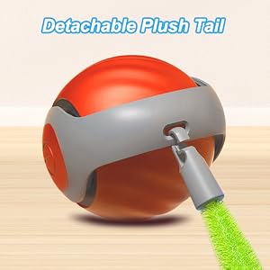 cat interactive toys