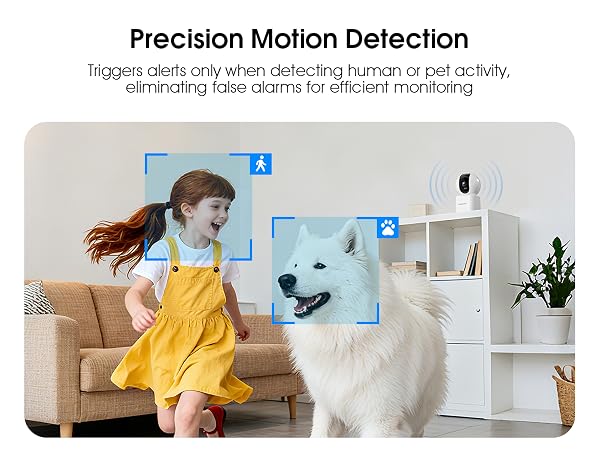 Security Camera