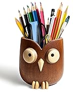 Cute owl pen holder Desk