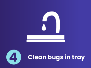 Clean bugs in tray
