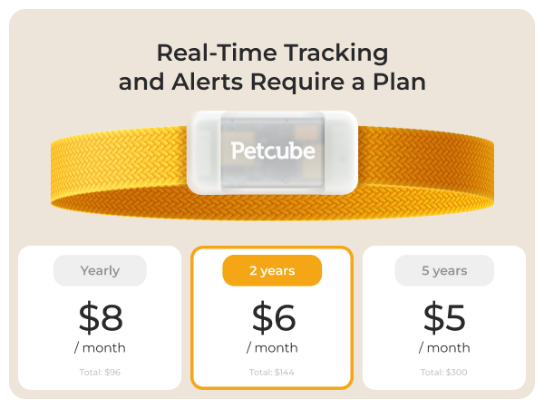 Petcube GPS Tracker for dogs