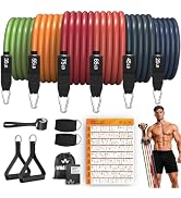 WHATAFIT Resistance Bands, Exercise Bands with Handles, Workout Bands for Working Out, Fitness Ba...