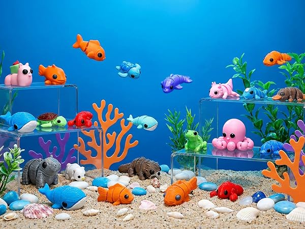 Colorful Animal Variety