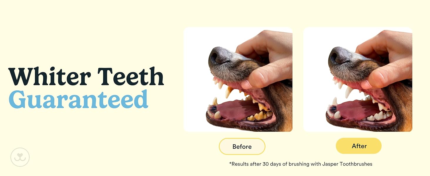whiter teeth guaranteed