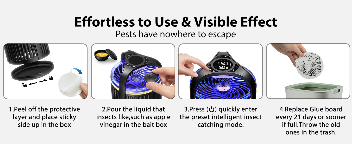 gnat traps for house indoor