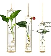 MIPON Metal Hanging Plant Propagation Station,3 Size Glass Test Tube Hydroponic Planter,Boho Wall...