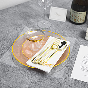 disposable party dinnerware set