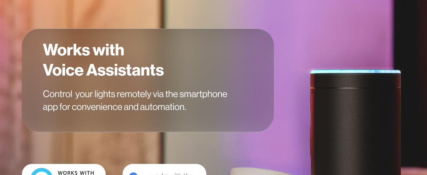 works with voice assistants