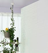 BAOYOUNI Indoor Tension Plant Pole Stands Double Rods Flower Pots Storage Shelf Floor to Ceiling ...