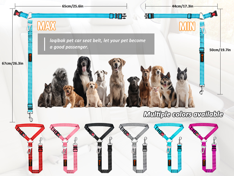 seat belt for dogs