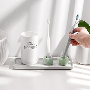 toothbrush shower holder