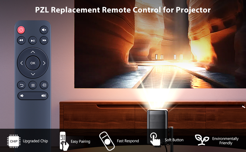 projector remote