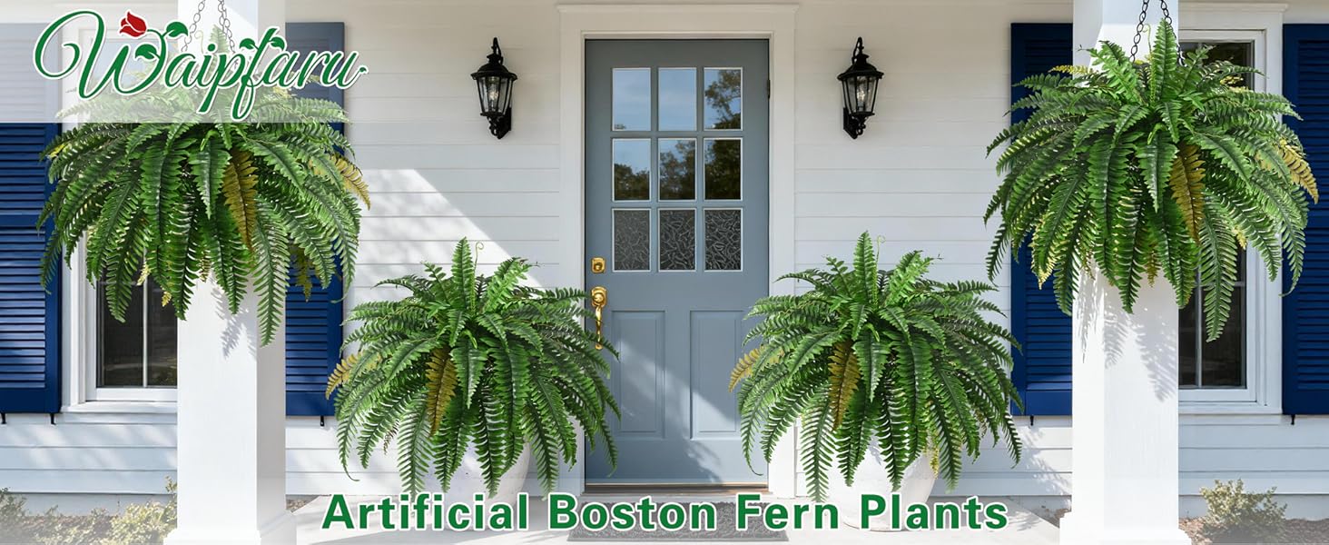 fake ferns