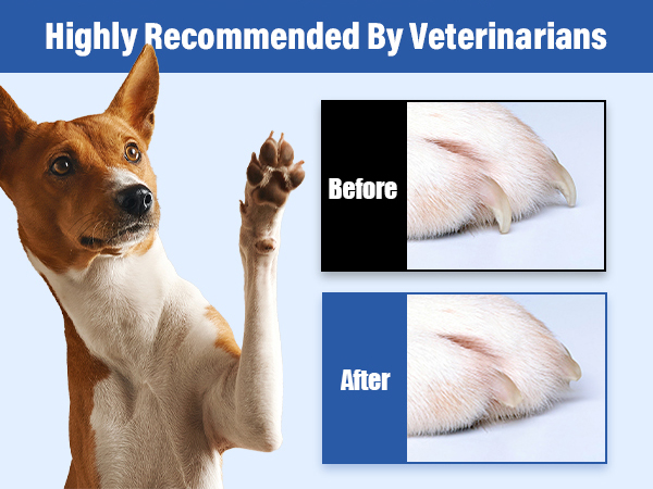 Recommended By Vet