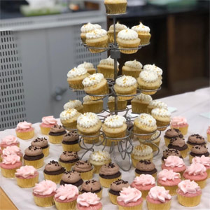 gifbera gold foil baking cupcake liners muffin cups