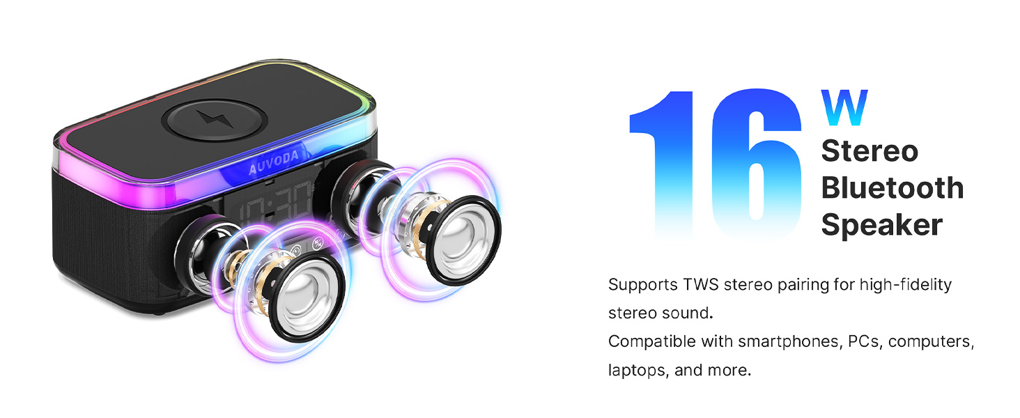 Portable Speaker