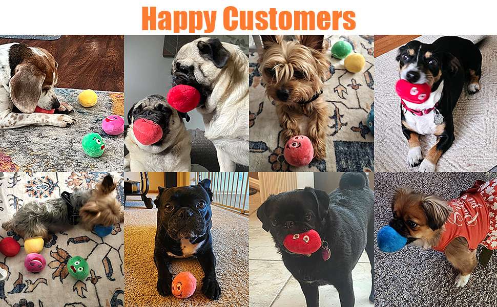 happy dogs