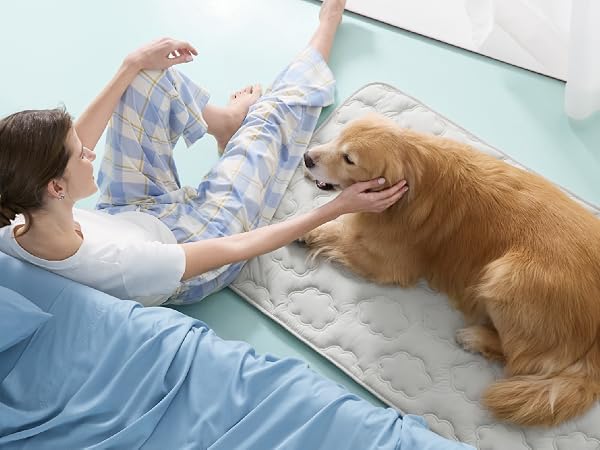 Play without heat with Lesure Cooling Dog Bed