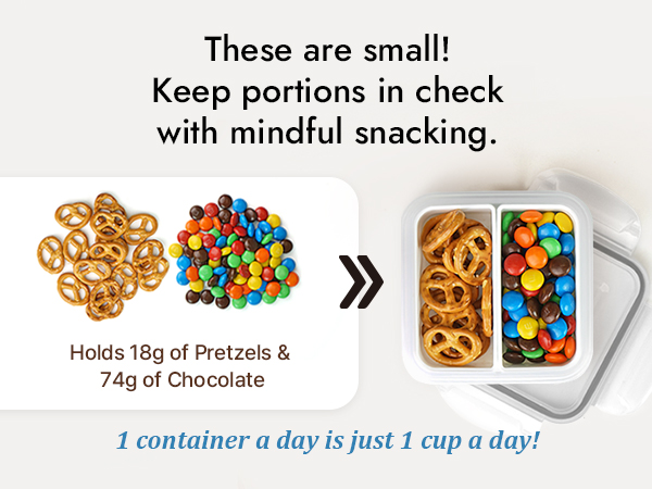 mini snack containers