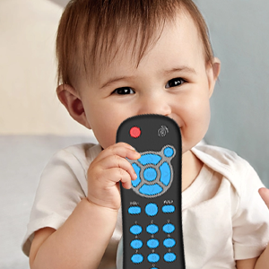 baby's favorite toy remote