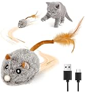 COSOWO USB Rechargeable Electric Mouse Cat Toy with Squeaky Sound, Interactive Toys for Indoor Ca...