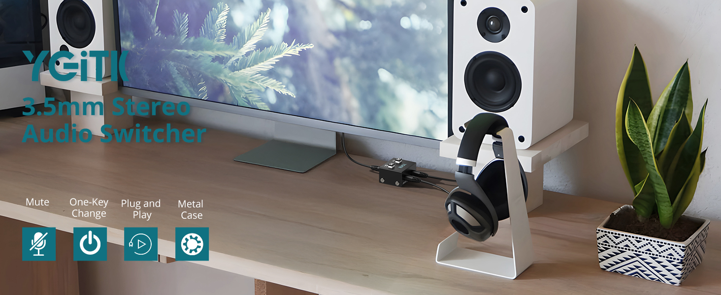 audio switch