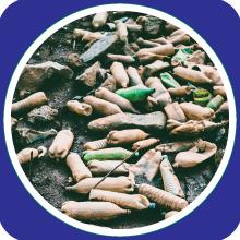 trash ready bottles landfill single use plastic recyclable green